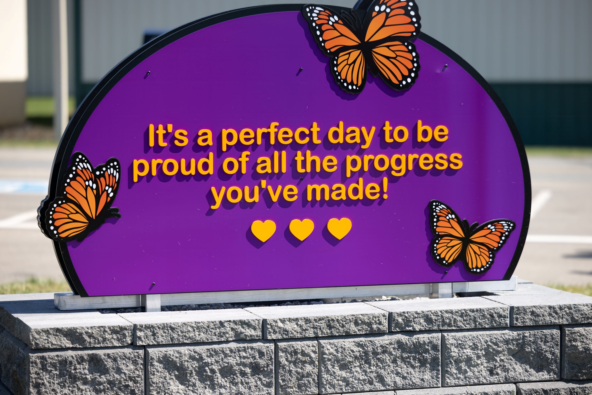 Tonya Engel Memorial Playground Back